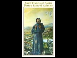 We can take our special needs to them and know they will it's important to learn about our patron saints and remember them in our prayers. Saint Francis Of Assisi Patron Saint Of Animals Youtube