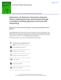 Image result for Viscum combreticola