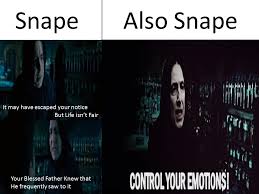 The biggest indicator that severus snape cared for harry potter was his eternal love for harry's mother Snape Out Angsting Teenagers Since The Year He Was Born Harrypottermemes