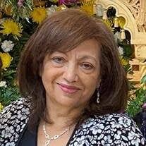 Mrs. Laila S. Soliman of Hoffman Estates Obituary