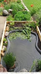 Best Tips For Starting A Small Garden Pond Ponds For Small Gardens Ponds Backyard Outdoor Ponds