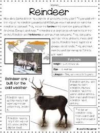 Reindeer Reading Passage Freebie Reading Passages Christmas Reading School Reading