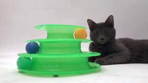 Tower Of Tracks 3 Katli Kedi Oyuncagi Orijinal Urun Youtube