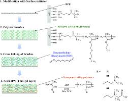 Bioinactive Semi Interpenetrating Network Gel Layers Zwitterionic Polymer Chains Incorporated In A Cross Linked Polymer Brush Journal Of Materials Chemistry B Rsc Publishing