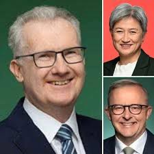 Please write your comments below ⬇️