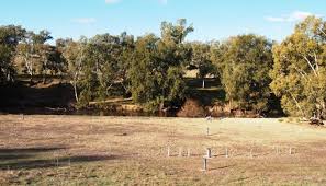 groundwater organic matter: carbon