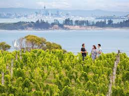 A Weekender S Guide To Waiheke Island Concrete Playground Concrete Playground Brisbane