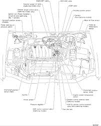 Nissan teana 2014 service manual also called nissan altima 2014 105 mb download. 2006 Nissan Maxima Engine Diagram Wiring Diagram Direct Inside Captain Inside Captain Siciliabeb It