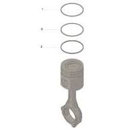 Cummins Piston Ring Set - 4955169 - Shop Cummins