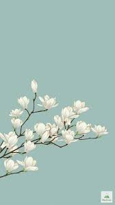 pin de ทาร กา วช ระปกรณ em wallpapers papel de parede de arte papel de parede para iphone papeis de parede