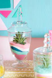 Diy Succulent Sand Art Terrariums Sand Art Terraria Design Diy Colored Sand