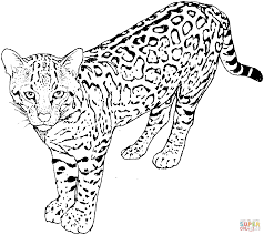 You can even print out a few at a time so that you have plenty to choose from. Cute Kittens Realistic Kitten Cat Coloring Pages Novocom Top