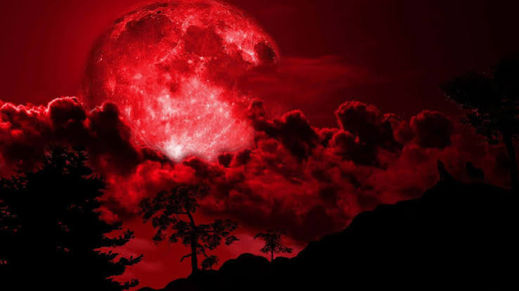 3000+] Red Aesthetic Pictures | Wallpapers.com