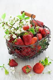 Gespot Door Www Kixx Safety Nl Tuinhandschoenen Garden Gloves Strawberry Delicious Fruit Fruit And Veg
