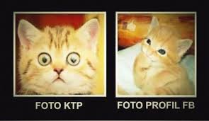 25 Meme Kucing Yang Imut Ngegemesin Dan Bikin Ketawa Di 2020 Meme Kucing Kucing Humor Hewan Lucu