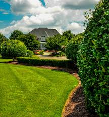 75 nursery jobs available in nashville, tn on indeed.com. Homeowners Guide Planning A Successful Landscape Design