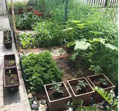 65 desain taman depan rumah mungil minimalis desain taman kecil taman kecil ide berkebun Edible Garden Jadi Kedai Jual Sayur Untuk Keluarga Jimat Belanja Dan Jimat Masa Ke Kedai Nona
