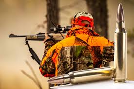 Le lynx est donc un fusil de sniper plus mobile que ses concurrents en calibres.50 et par là même plus tactique. Le Top 10 Des Calibres Les Plus Utilises En Battue Chasse Passion