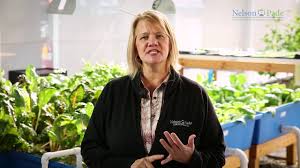 Build A Mini Aquaponic System For Home Or School Aquaponics