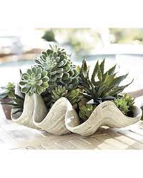 Maybe you would like to learn more about one of these? Shells Large Clam Shell Tabletop Decorative Bowls Coastal Indoor Giant Seashell Planter Collectibles