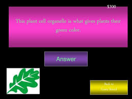 Plant cells have a rigid, protective cell wall made up of polysaccharides. Warm Up 10 20 If You Could Be Any Organelle What Would You Be And Why Ppt Download