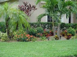 Tampa Landscape Design Ideas With Glass Window Tropical Landscaping Front Yard Landscaping Landscaping Along Fence