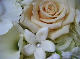 $25 for $50 toward flowers, gift baskets, and more at janousek's florist. Janousek Florist Janousekflorist Twitter
