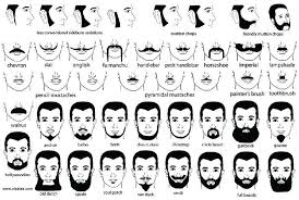 moustache styles chart google search beard no mustache