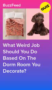 Decorate A Dorm Room And We Ll Give You A Weird Job Quizzes For Fun Friends Quizzes Tv Show Fun Personality Quizzes