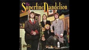 Image result for Dandelion Yellow 1977 Holden Fleet