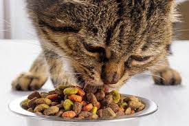 1/4 cup am and pm. Exactly How Much Should I Feed My Cat Each Day