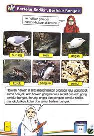 Haiwan manakah yang bertelur sedikit ? Sains 2ibs Ibk Bilangan Telur Anak Haiwan