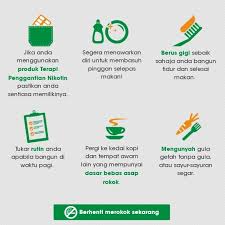 Nikotin menciptakan ketergantungan dan berbahaya bagi perokok itu sendiri maupun orang lain yang menghirup asap rokok secara. Tips Berhenti Merokok Yang Pasti Berjaya Ini Kata Doktor Bidadari My