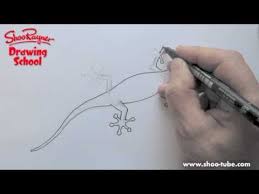 How To Draw A Gecko Shoo Rayner Drawing School Youtube Drawing School Drawings Drawing Lessons Check the latest youtube statistics and data for the shooraynerdrawing channel and find answers to the most frequently asked. pinterest