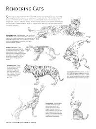 Each system contains haversian canals surrounded by concentric lamellae of bone tissue 48. The Complete Beginner S Guide To Drawing More Than 200 Drawing Techniques Tips Lessons Pages 101 150 Flip Pdf Download Fliphtml5