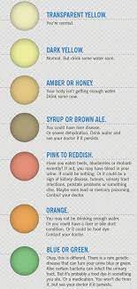 Warning Signals In Your Urine Color The Homestead Survival Color Of Urine Urinal Pee Color