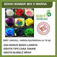 Beli | pusat biji mawar,biji mawar jakarta,bibit mawar import,jual pohon mawar,bibit bunga mawar import,jual bibit bunga mawar import,harga bibit tanaman mawar,bibit bunga mawar impor,harga mawar ungu hitam rainbow yang murah,harga bibit m. Benih Bunga Mawar Paket 9 Warna Shopee Indonesia