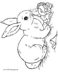 Click to download these simple rabbit silhouette designs today! Rabbit Coloring Pages Printable Coloring Home