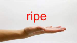 Learn how to pronounce ripethis is the *english* pronunciation of the word ripe.pronunciationacademy is the world's biggest and most accurate source for word. How To Pronounce Ripe American English Youtube