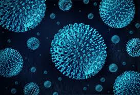 Viral Hepatitis Types Symptoms Treatment And Prevention