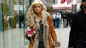 03:09 edt, 9 may 2021. Rest In Peace Tinkerbell Paris Hilton S Starlet Dog Abc News