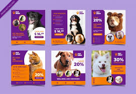 Get the best pet supplies online and in store! Premium Vector Pet Shop Social Media Post Template