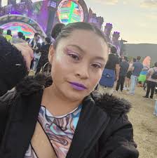 Electric Zoo Festival