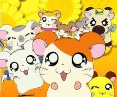 D Hamtaro 3 Hamtaro Cartoon Shows I Love Anime