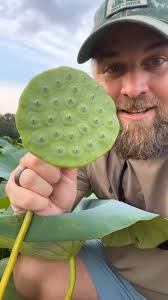 Caddo Biocontrol Alliance