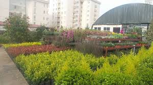 Lale Botanik Lale Cicekcilik Home Facebook