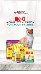 Meo A Complete Nutrition For Your Felines In 2020 Cat Food Best Cat Food Kitten Food