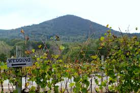 Jasper Georgia Wedding Venue Vineyard Wedding Winery Wedding Sharp Mountain Vineyards Georgia Wedding Venues Georgia Wedding Wedding Venues