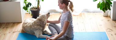 We got wellness plans on both. Pet Wellness And Preventive Care In Red Wing Mn The Bluffs Pet Clinic