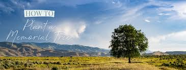 Check spelling or type a new query. Your Guide To Planting A Memorial Tree Inscripture